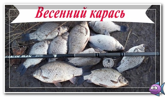 мартовский карась