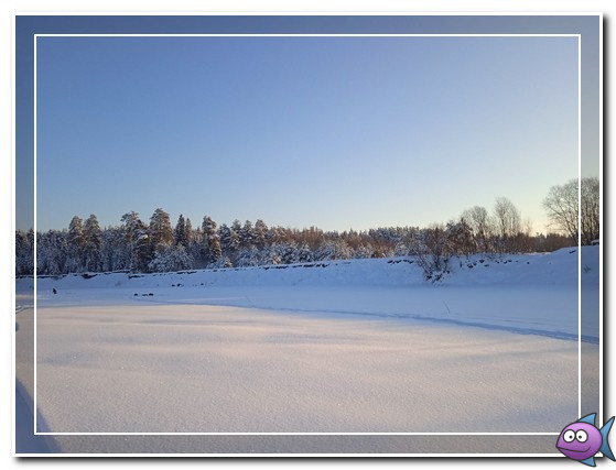 ловля в декабре