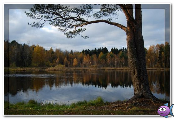 черное озеро москва