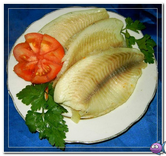 филе морского языка