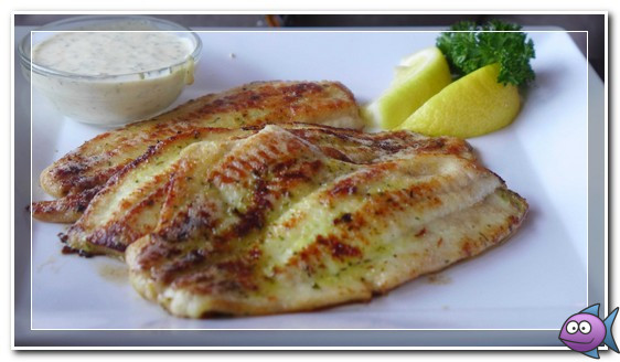 морской язык жареный