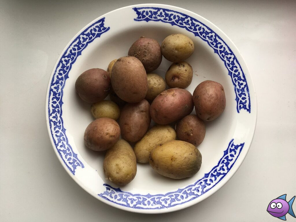 картофель в мундире